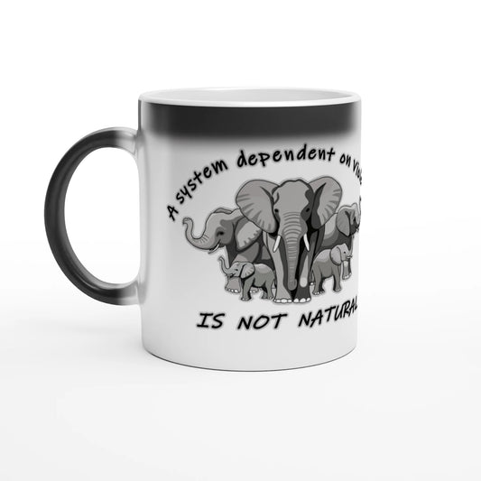 3d63fec8-783a-479b-a6ca-2a15035e3e57