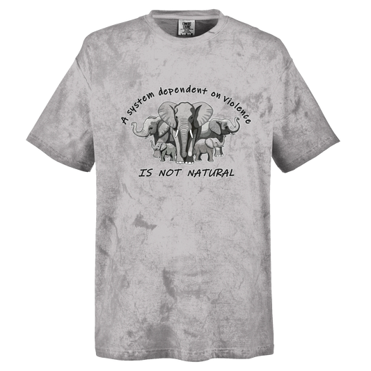 5598f7ad-f47b-4331-9ab2-b1422c1479a2