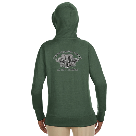 722dfd29-29d1-4e59-a88d-e44b93330dcc