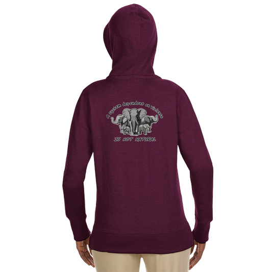 78023698-ed81-49d1-9074-4f2cae884813