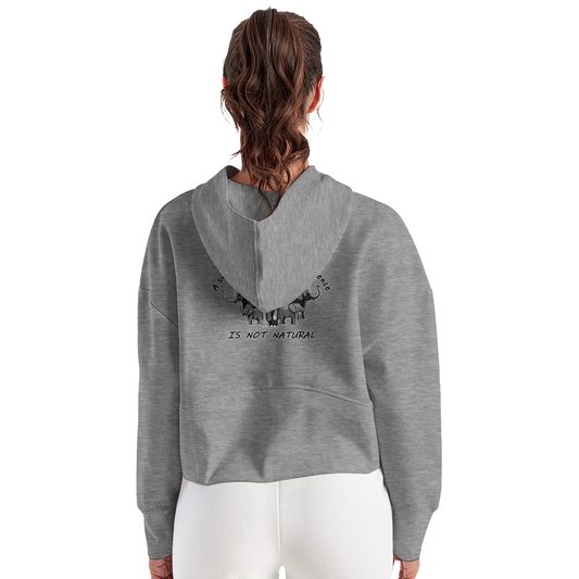 c1cee224-255b-418b-97d5-ee0c59be2b12