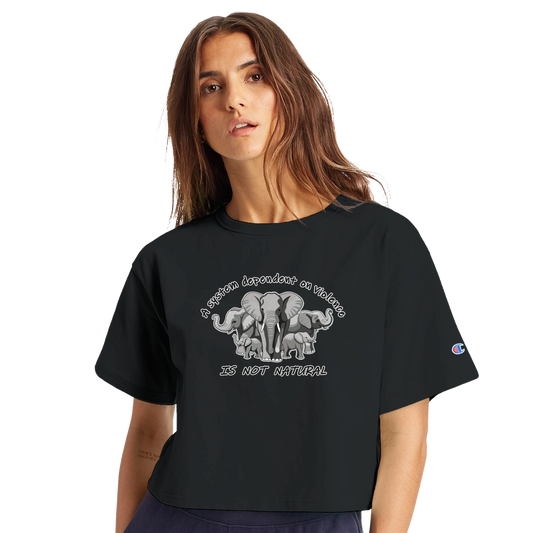 ff0d0b2b-41a1-472a-8bba-77cf50805678